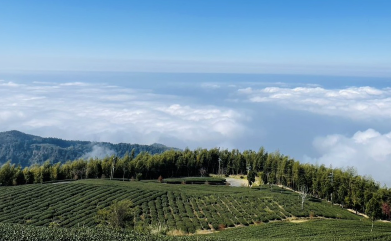 雲嶺之丘