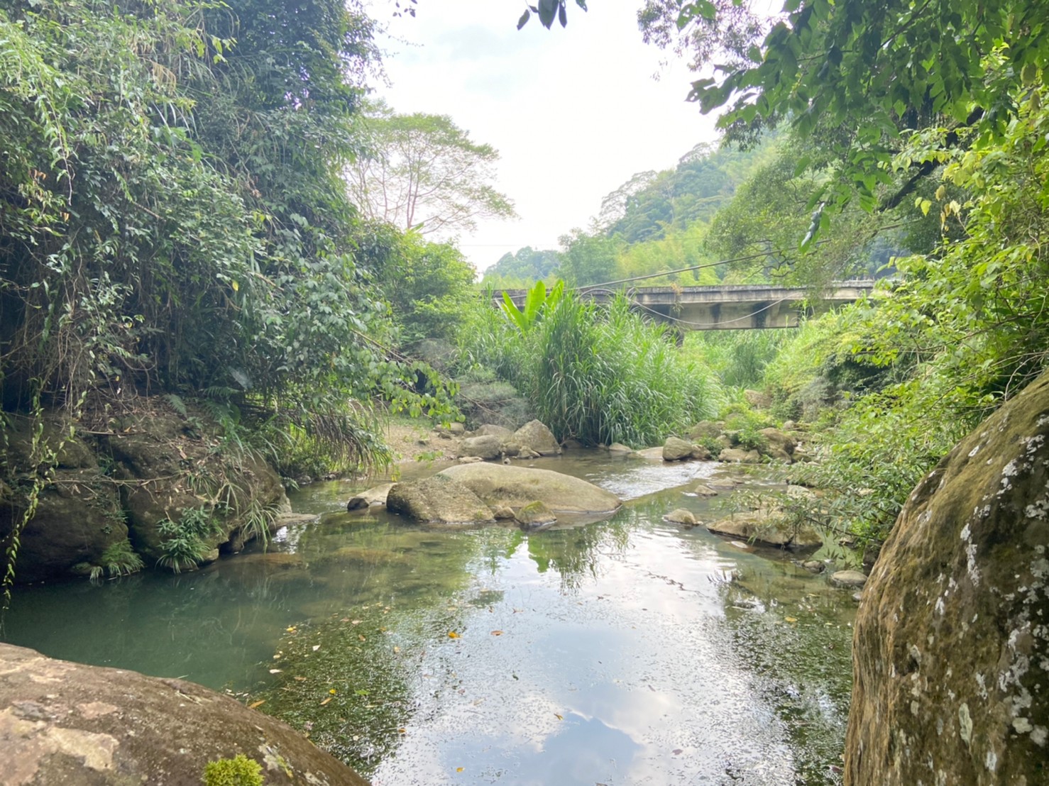 主視覺圖片